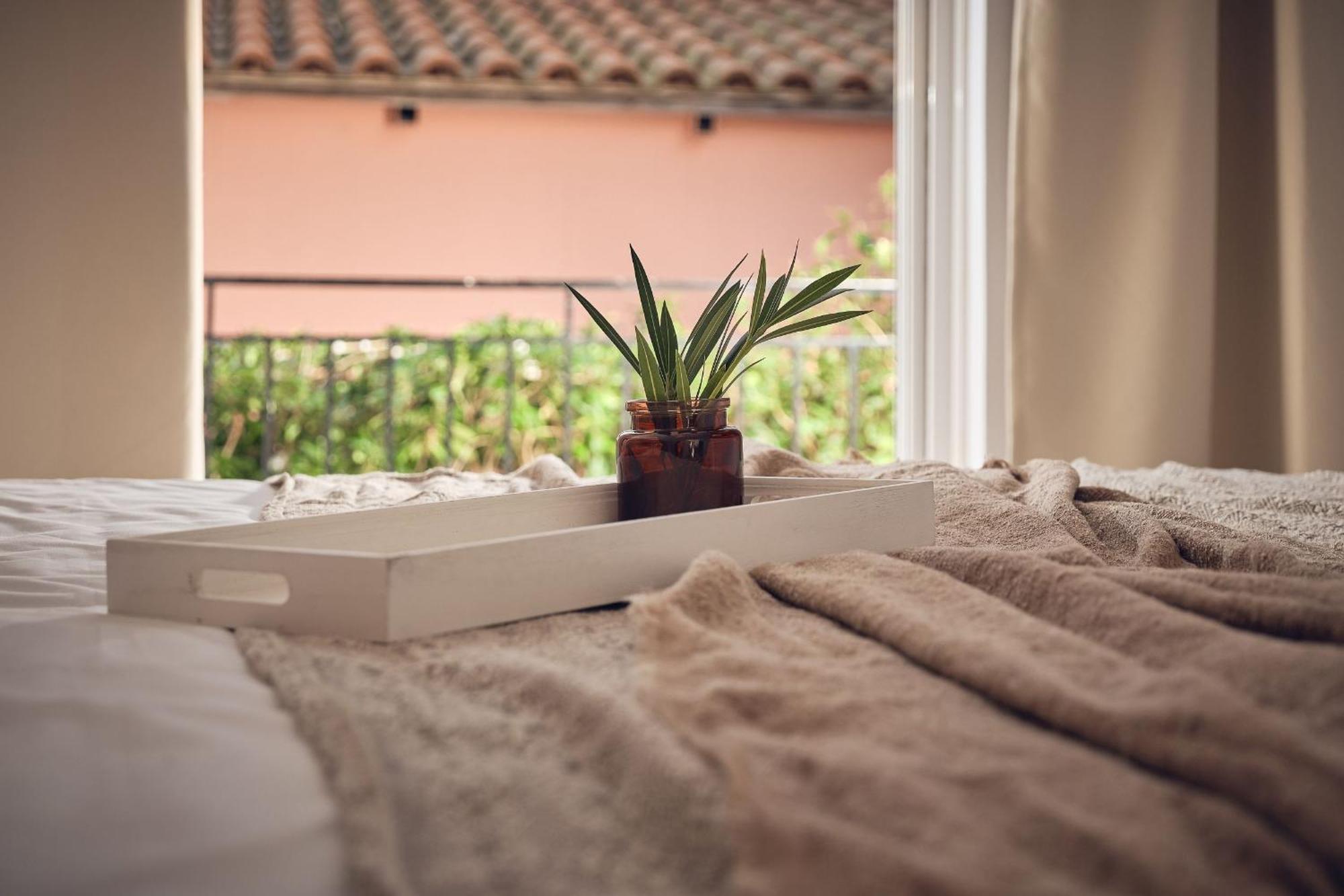 Shellona Rooms & Apartments Laganas Ruang foto